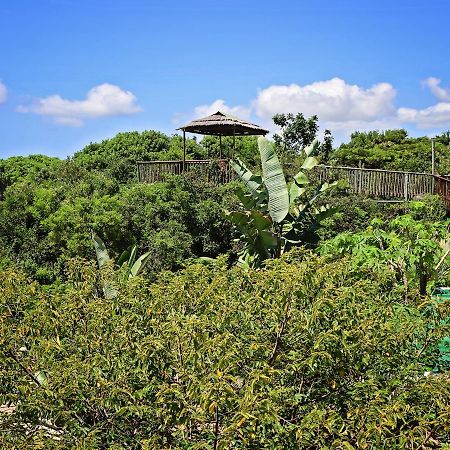 Kosi Bay Lodge Manguzi Zewnętrze zdjęcie